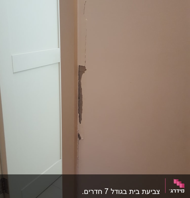 קיר עם סדק ותיקון טיח נדרש